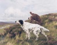 Blinks, Thomas - An English and Irish Setter on a Moor